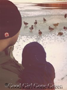 Jan18-Ducks3