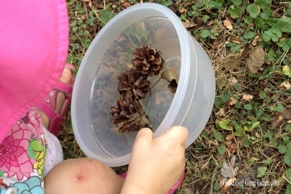 Good Girl Gone Green : Pine Cone Collection
