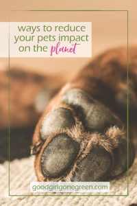 10 ways to reduce your pets impact on the planet - GoodGirlGoneGreen