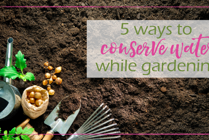 Ways to Conserve Water | GoodGirlGoneGreen.com