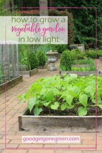 Grow a Vegetable Garden in Low Light goodgirlgonegreen