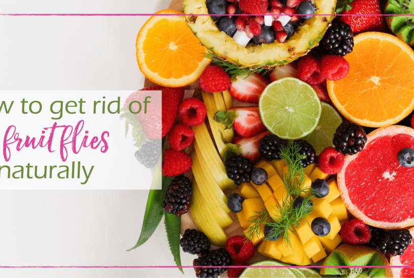 How To Get Rid of Fruit Flies Naturally | Good Girl Gone Green