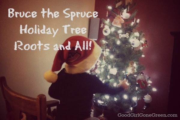 eco-friendly holiday tree