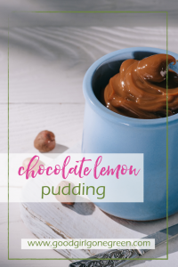 Chocolate Lemon Pudding | GoodGirlGoneGreen.com