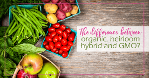 What Is The Difference Between Organic, Heirloom, Hybrid, and GMO? | GoodGirlGoneGreen.com