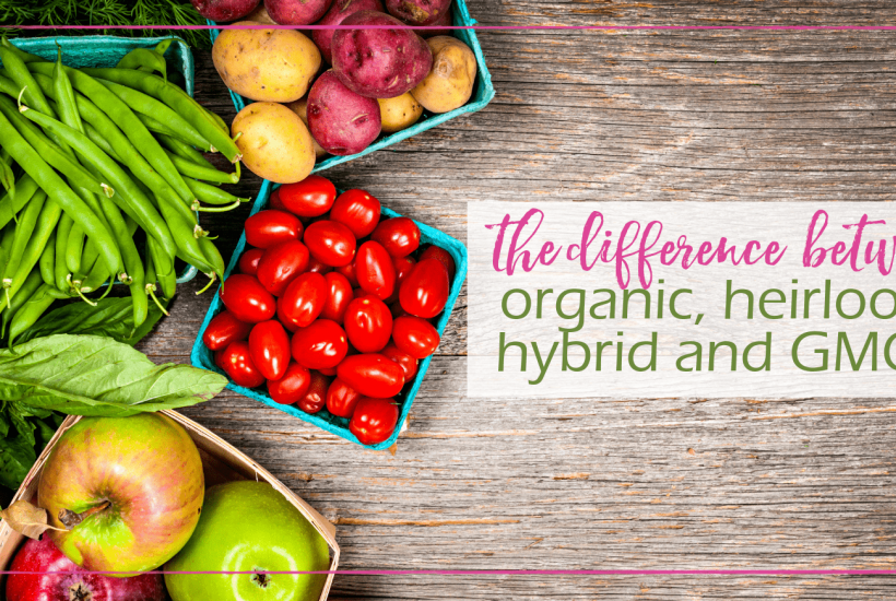 What Is The Difference Between Organic, Heirloom, Hybrid, and GMO? | GoodGirlGoneGreen.com