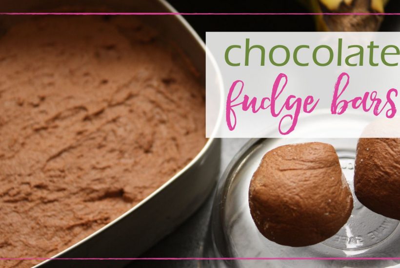 Chocolate Fudge Bars GoodGirlGoneGreen