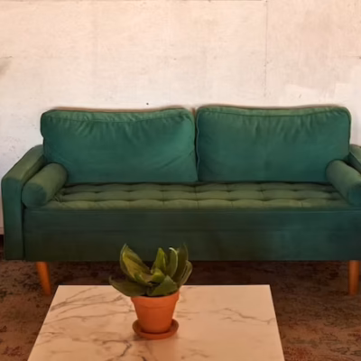 Simple Steps for a More Sustainable Home