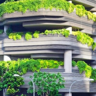 Eco-Conscious Living: Health and Tech Synergy